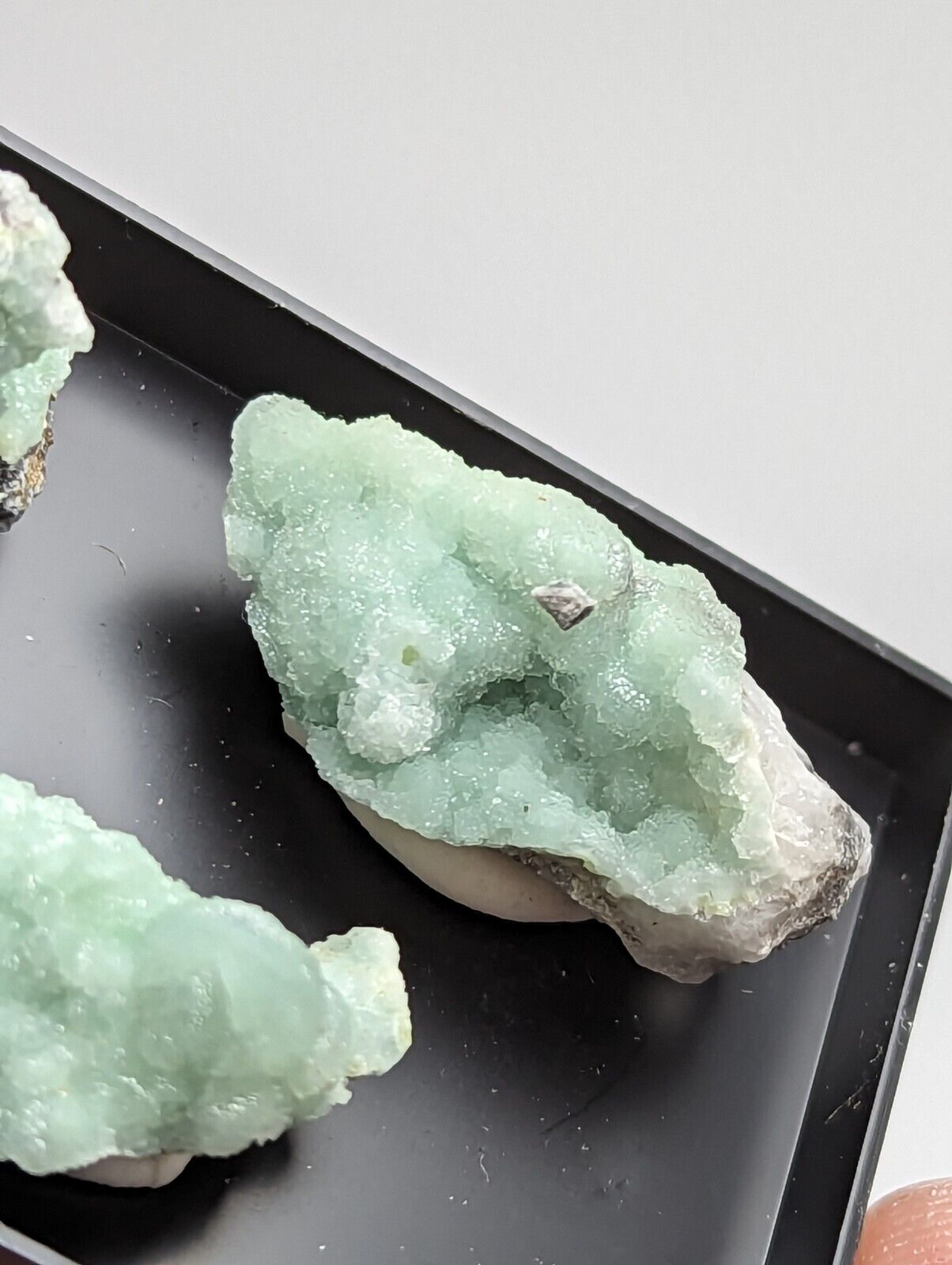 Wavellite - Unique Set of 3 w/ case - Old Stock - Mauldin Mountain Arkansas - Collectibles:Rocks Fossils &