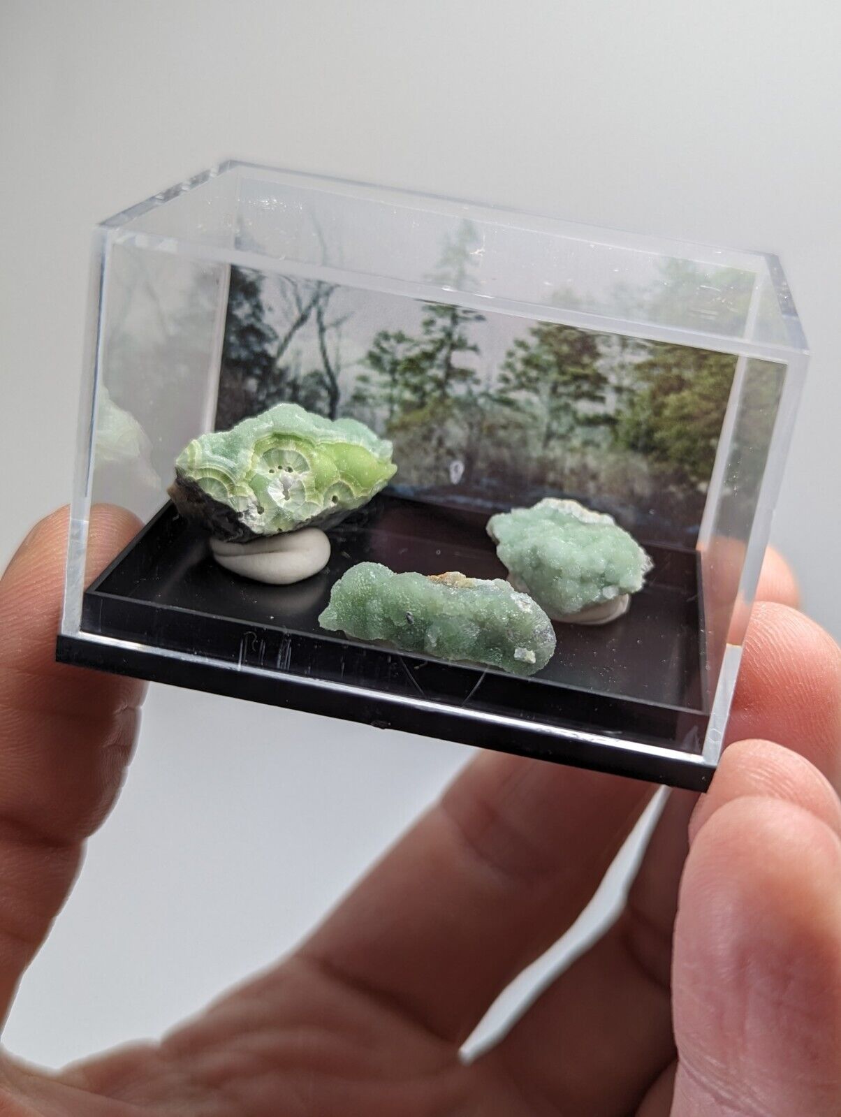 Wavellite - Unique Set of 3 w/ case - Old Stock - Mauldin Mountain Arkansas - Collectibles:Rocks Fossils &