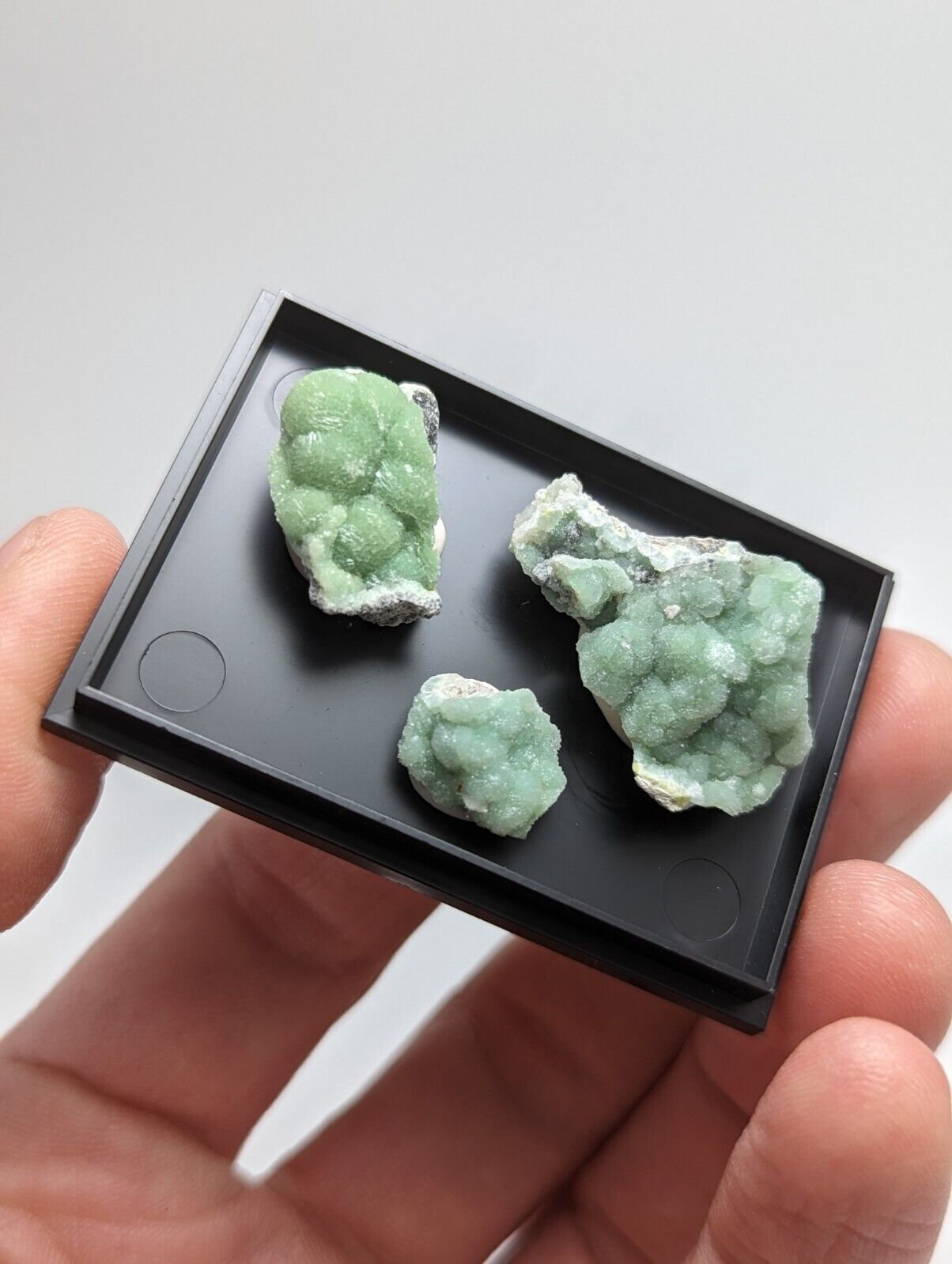 Wavellite - Unique Set of 3 w/ case - Old Stock - Mauldin Mountain Arkansas - Collectibles:Rocks Fossils &