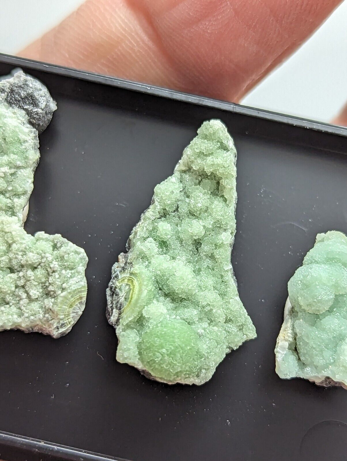 Wavellite - Unique Set of 3 w/ case - Old Stock - Mauldin Mountain Arkansas - Collectibles:Rocks Fossils &