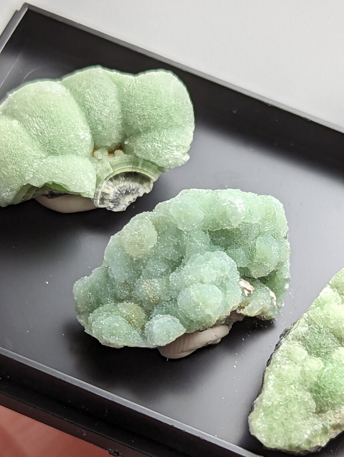 Wavellite - Unique Set of 3 w/ case - Old Stock - Mauldin Mountain Arkansas - Collectibles:Rocks Fossils &