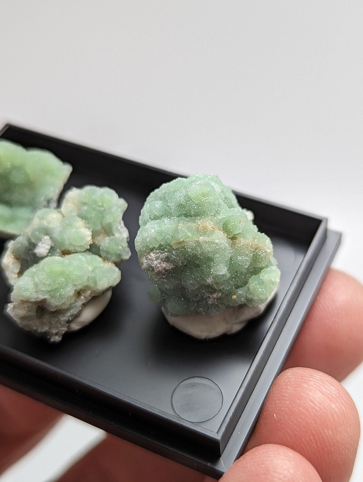 Green crystalline mineral specimens with a textured, brain-like appearance.