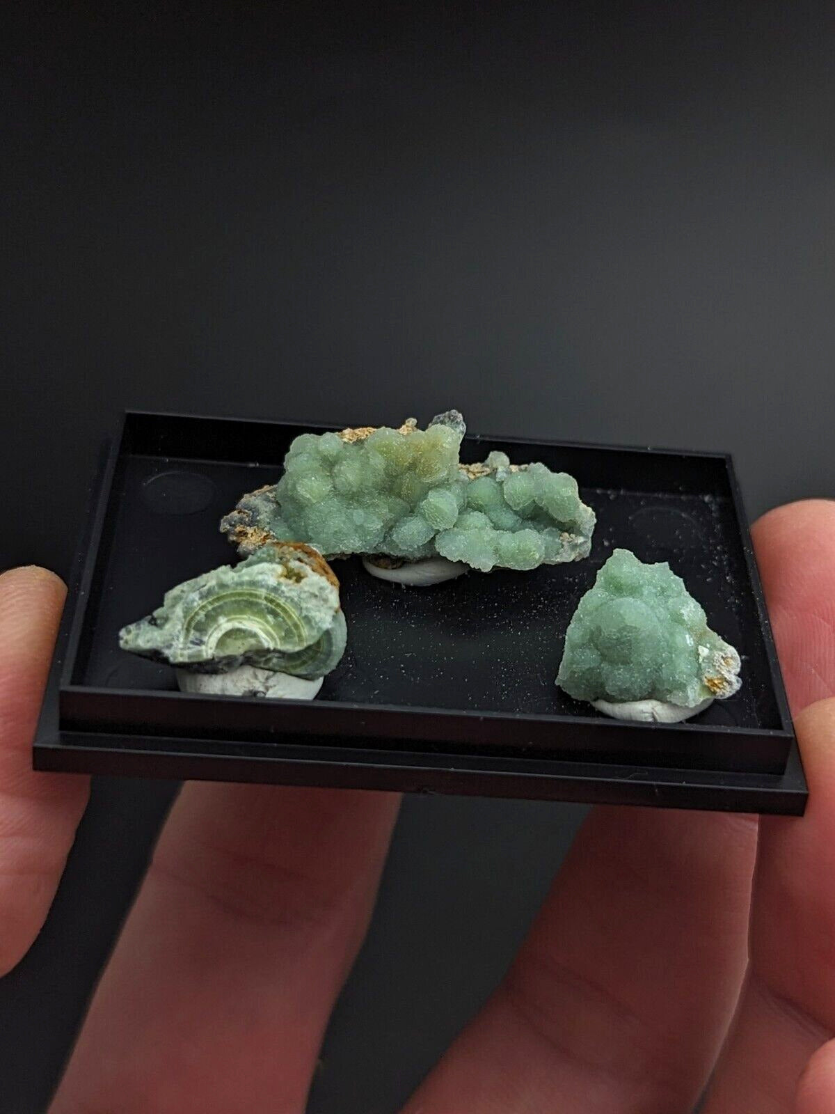 Wavellite - Unique Set of 3 w/ case - Old Stock - Mauldin Mountain Arkansas - Collectibles:Rocks Fossils &