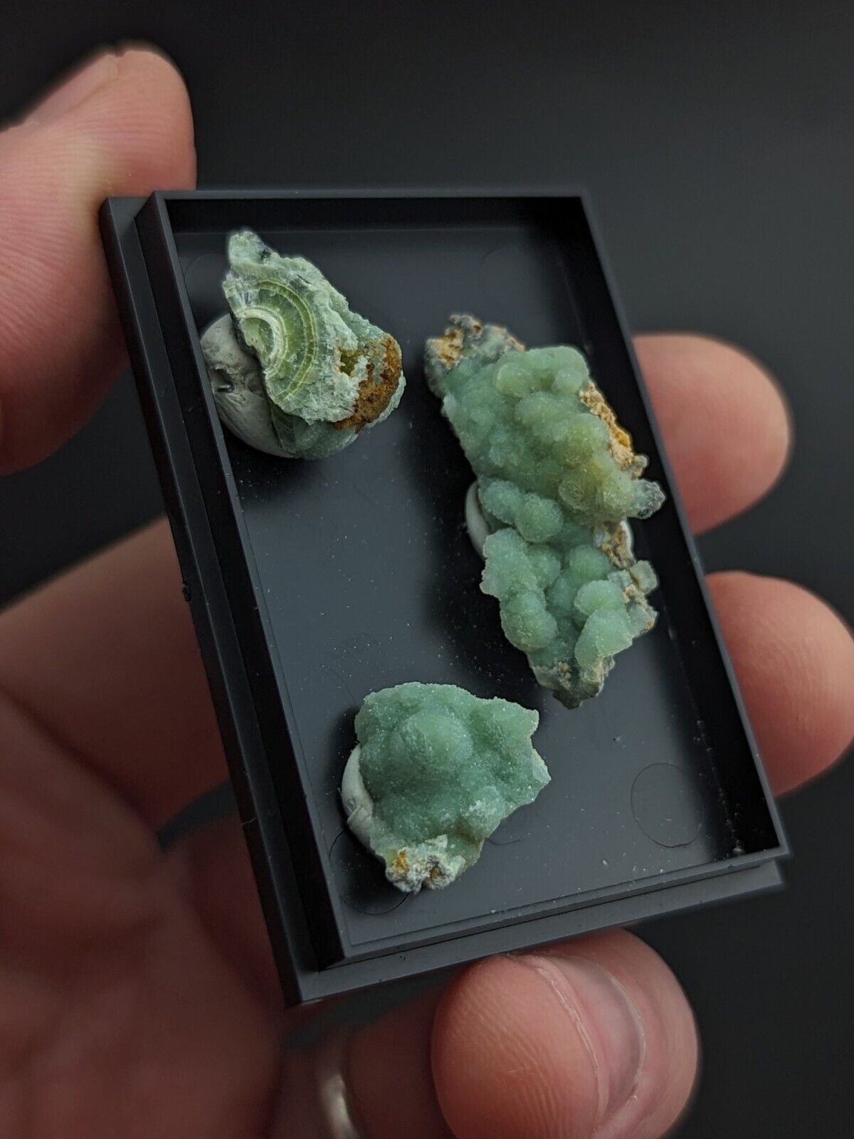 Wavellite - Unique Set of 3 w/ case - Old Stock - Mauldin Mountain Arkansas - Collectibles:Rocks Fossils &