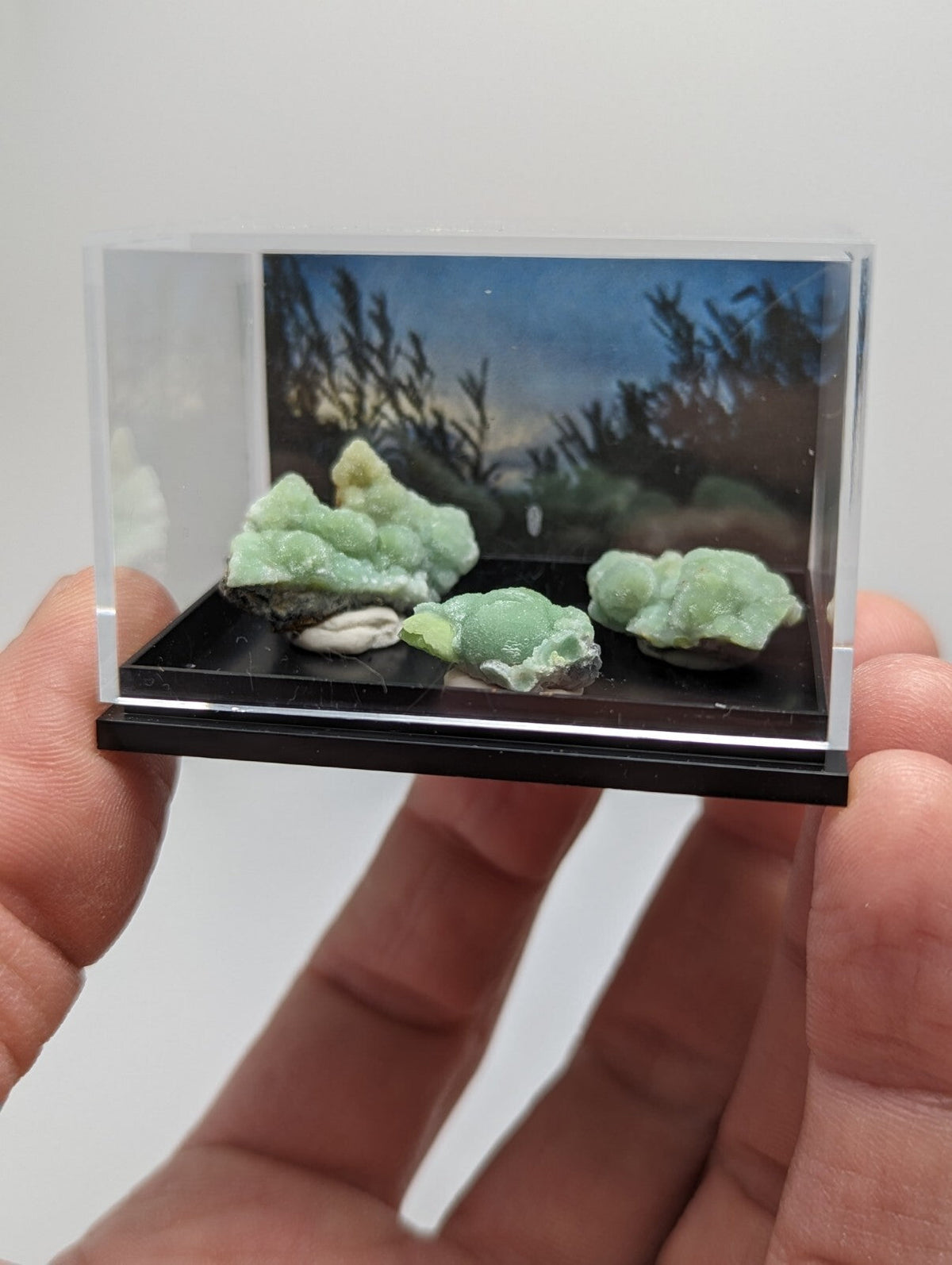 A clear acrylic display case holding three light green, textured mineral specimens on a black base with a printed landscape backdrop.
