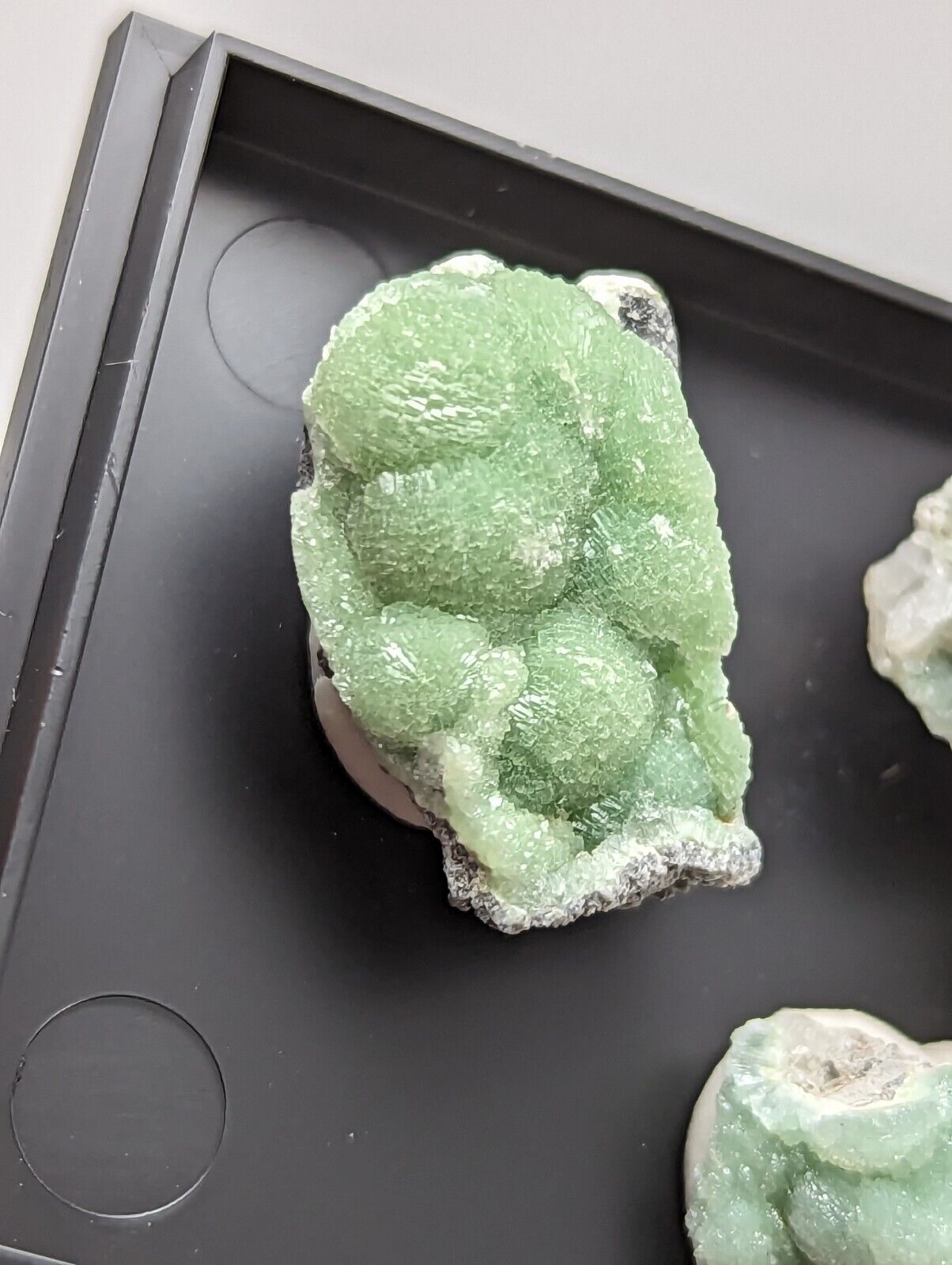 Wavellite - Unique Set of 3 w/ case - Old Stock - Mauldin Mountain Arkansas - Collectibles:Rocks Fossils &