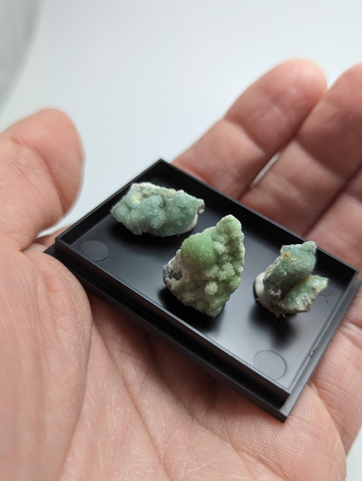 Three small, greenish mineral specimens with crystalline textures rest in a black display tray held in an open palm.