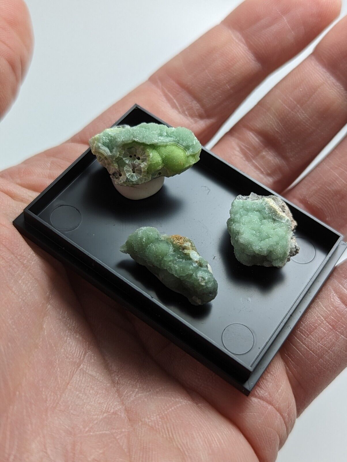 Wavellite - Unique Set of 3 w/ case - Old Stock - Mauldin Mountain Arkansas - Collectibles:Rocks Fossils &