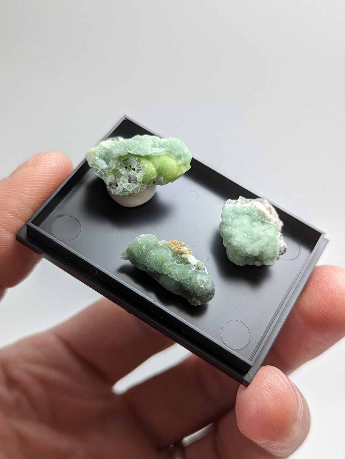 Wavellite - Unique Set of 3 w/ case - Old Stock - Mauldin Mountain Arkansas - Collectibles:Rocks Fossils &