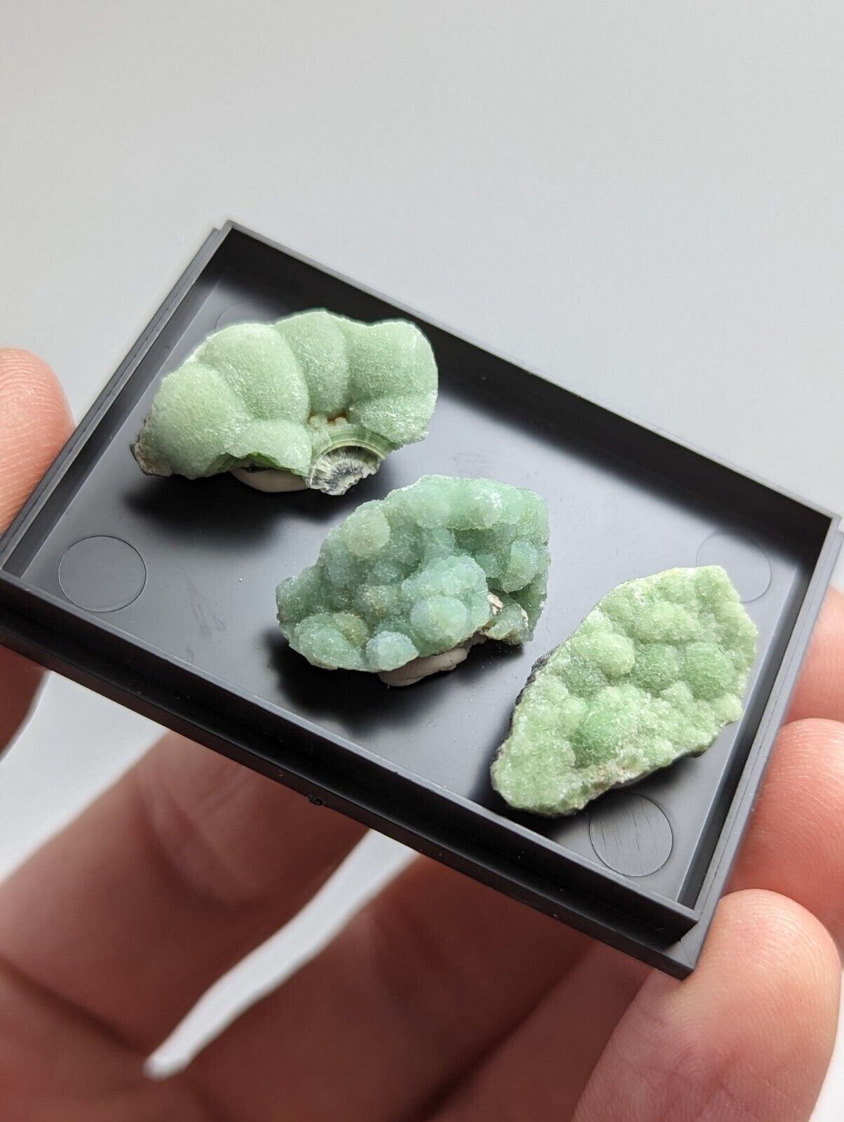 Wavellite - Unique Set of 3 w/ case - Old Stock - Mauldin Mountain Arkansas - Collectibles:Rocks Fossils &