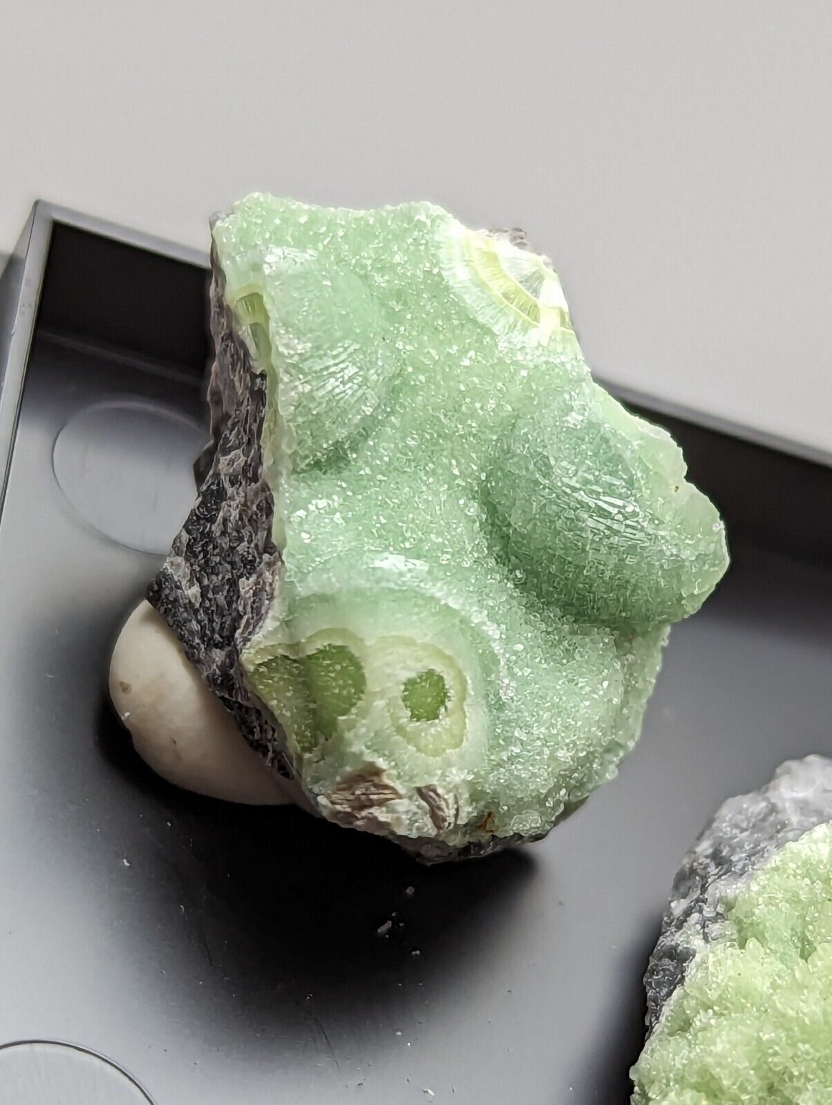 Wavellite - Unique Set of 3 w/ case - Old Stock - Mauldin Mountain Arkansas - Collectibles:Rocks Fossils &