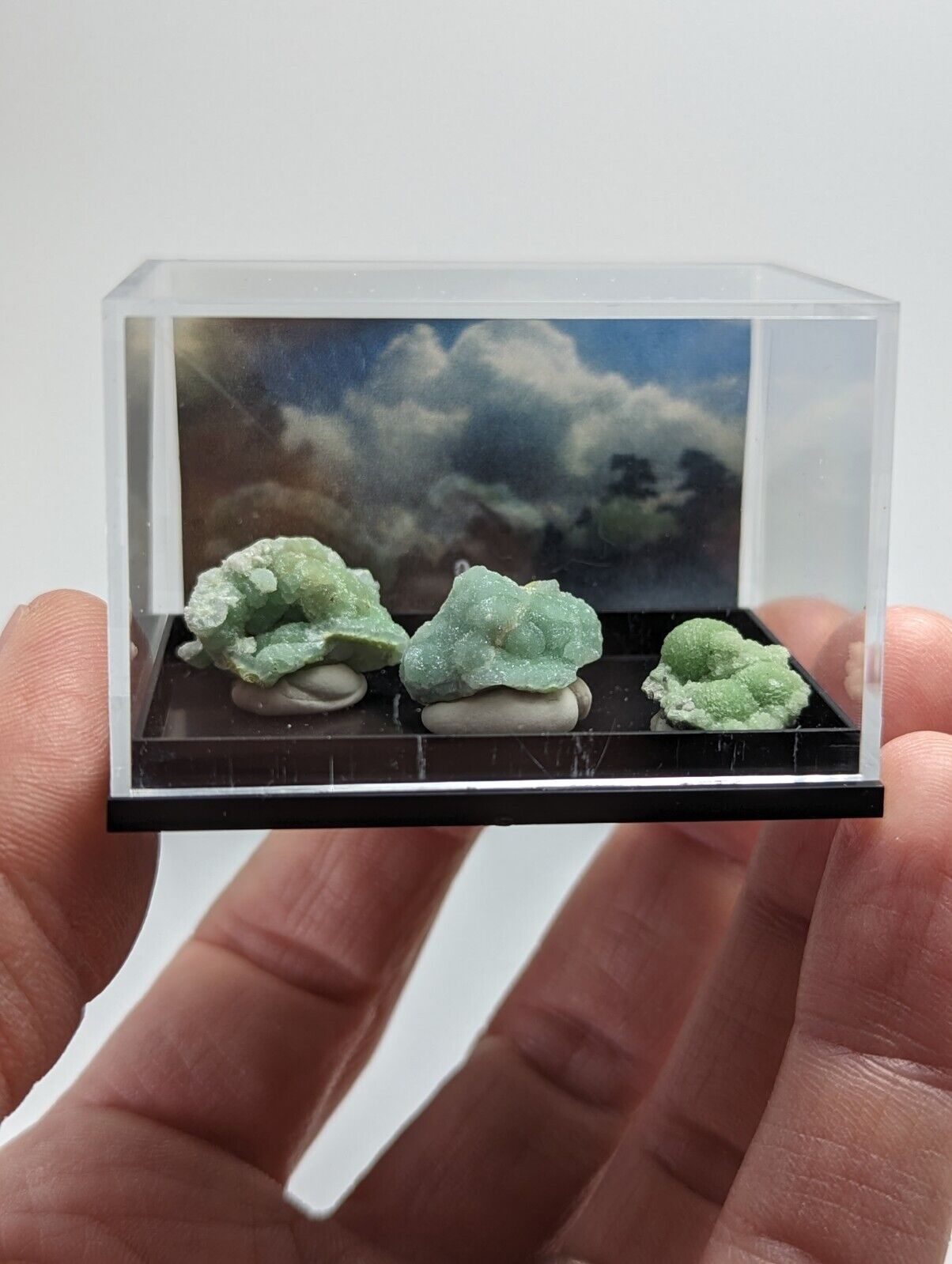 Wavellite - Unique Set of 3 w/ case - Old Stock - Mauldin Mountain Arkansas - Collectibles:Rocks Fossils &
