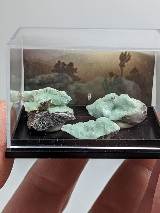 Wavellite - Unique Set of 3 w/ case - Old Stock - Mauldin Mountain Arkansas - Collectibles:Rocks Fossils &