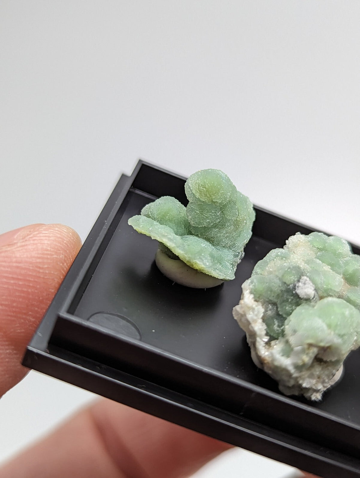 Two light green, crystalline mineral specimens with a translucent and slightly frosted appearance are displayed in a black plastic tray.
