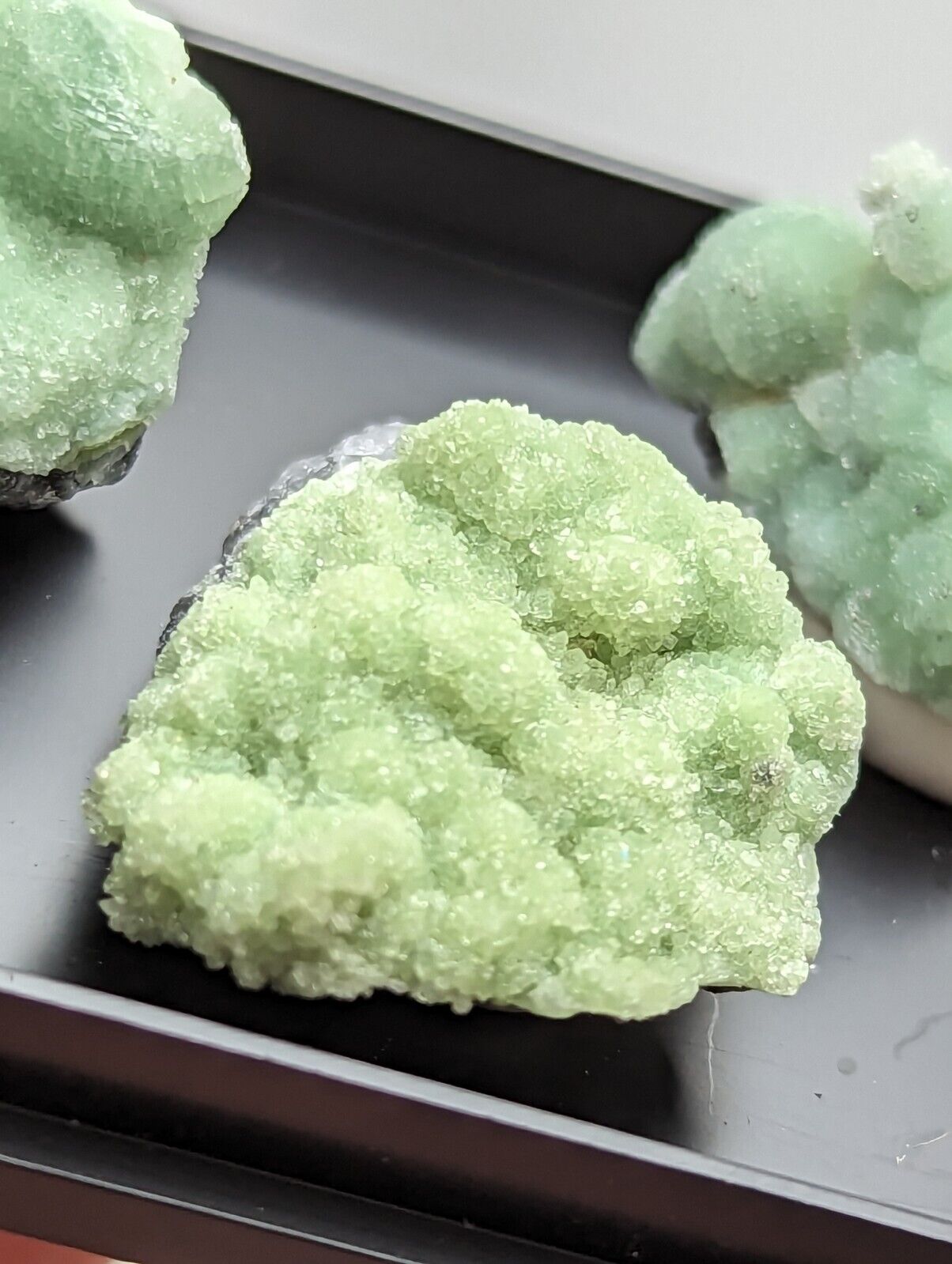 Wavellite - Unique Set of 3 w/ case - Old Stock - Mauldin Mountain Arkansas - Collectibles:Rocks Fossils &