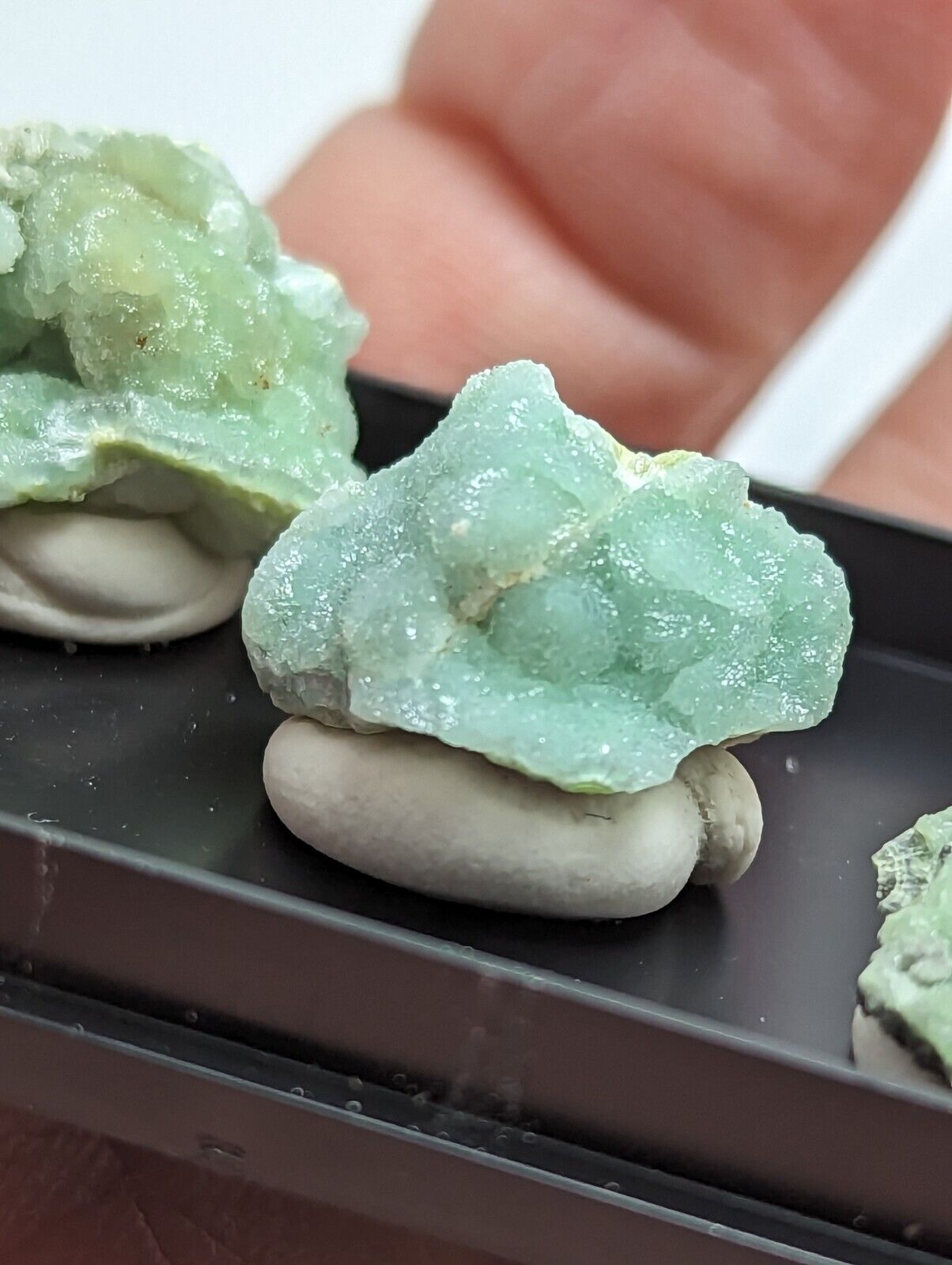 Wavellite - Unique Set of 3 w/ case - Old Stock - Mauldin Mountain Arkansas - Collectibles:Rocks Fossils &
