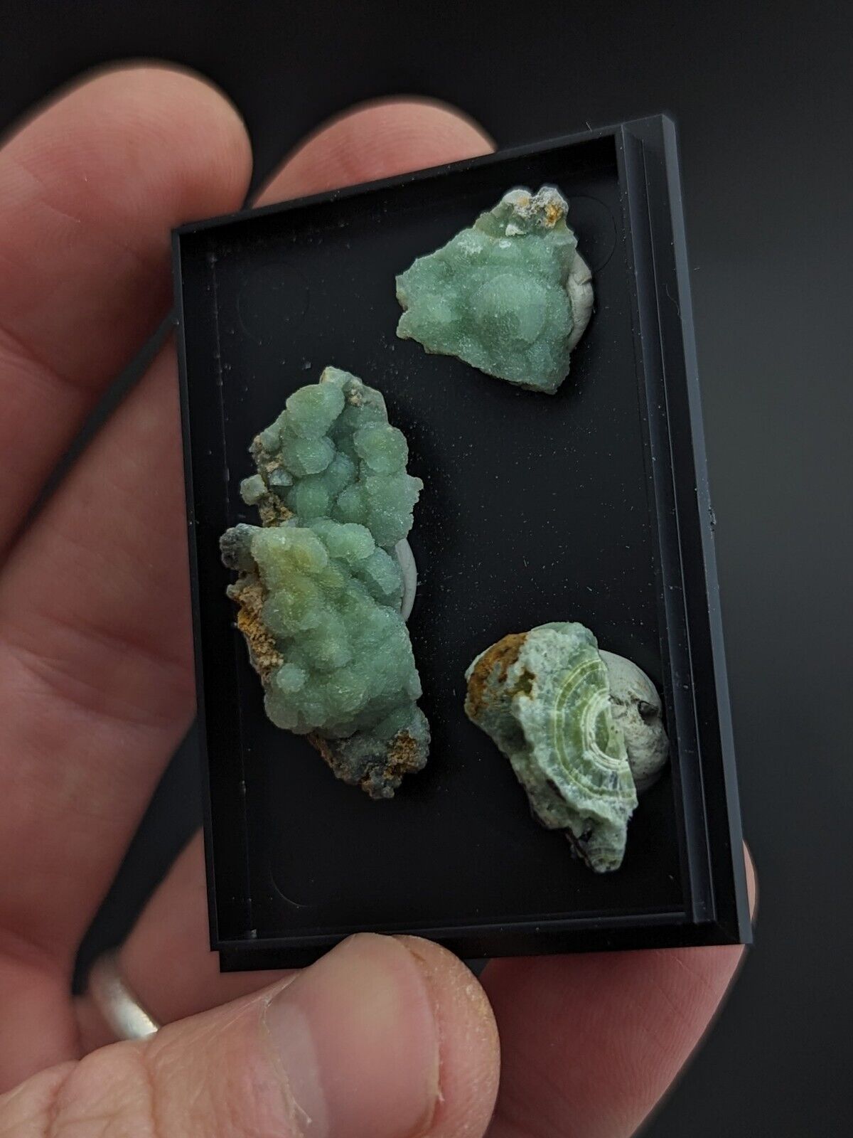 Wavellite - Unique Set of 3 w/ case - Old Stock - Mauldin Mountain Arkansas - Collectibles:Rocks Fossils &