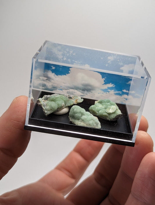 Wavellite - Unique Set of 3 w/ case - Old Stock - Mauldin Mountain Arkansas - Collectibles:Rocks Fossils &