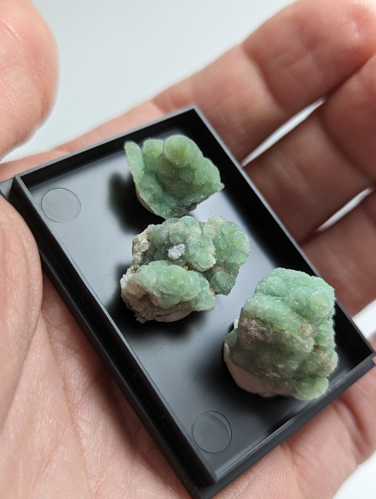 Green, crystalline mineral specimens nestled in a black display tray.