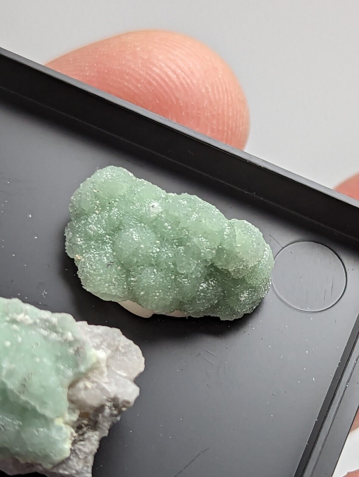 Wavellite - Unique Set of 3 w/ case - Old Stock - Mauldin Mountain Arkansas - Collectibles:Rocks Fossils &