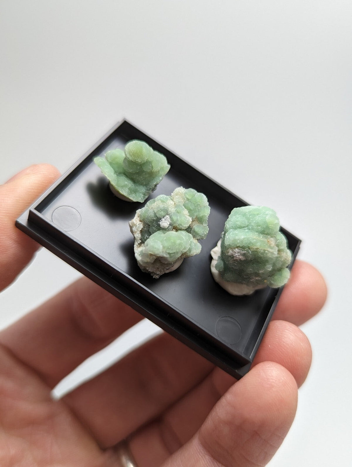 Three light green, brain-like mineral specimens with a crystalline texture are displayed in a black plastic tray.