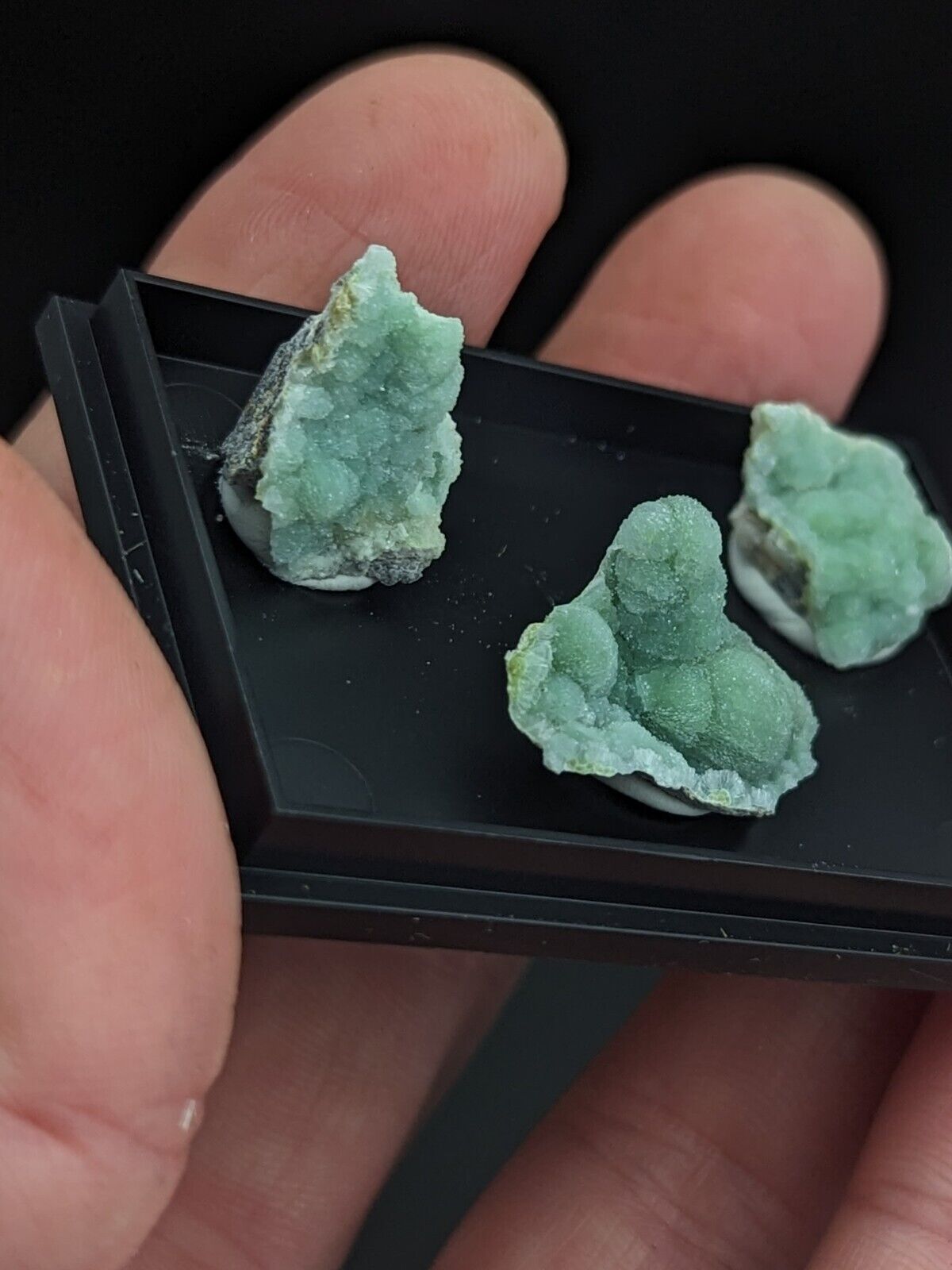 Wavellite - Unique Set of 3 w/ case - Old Stock - Mauldin Mountain Arkansas - Collectibles:Rocks Fossils &