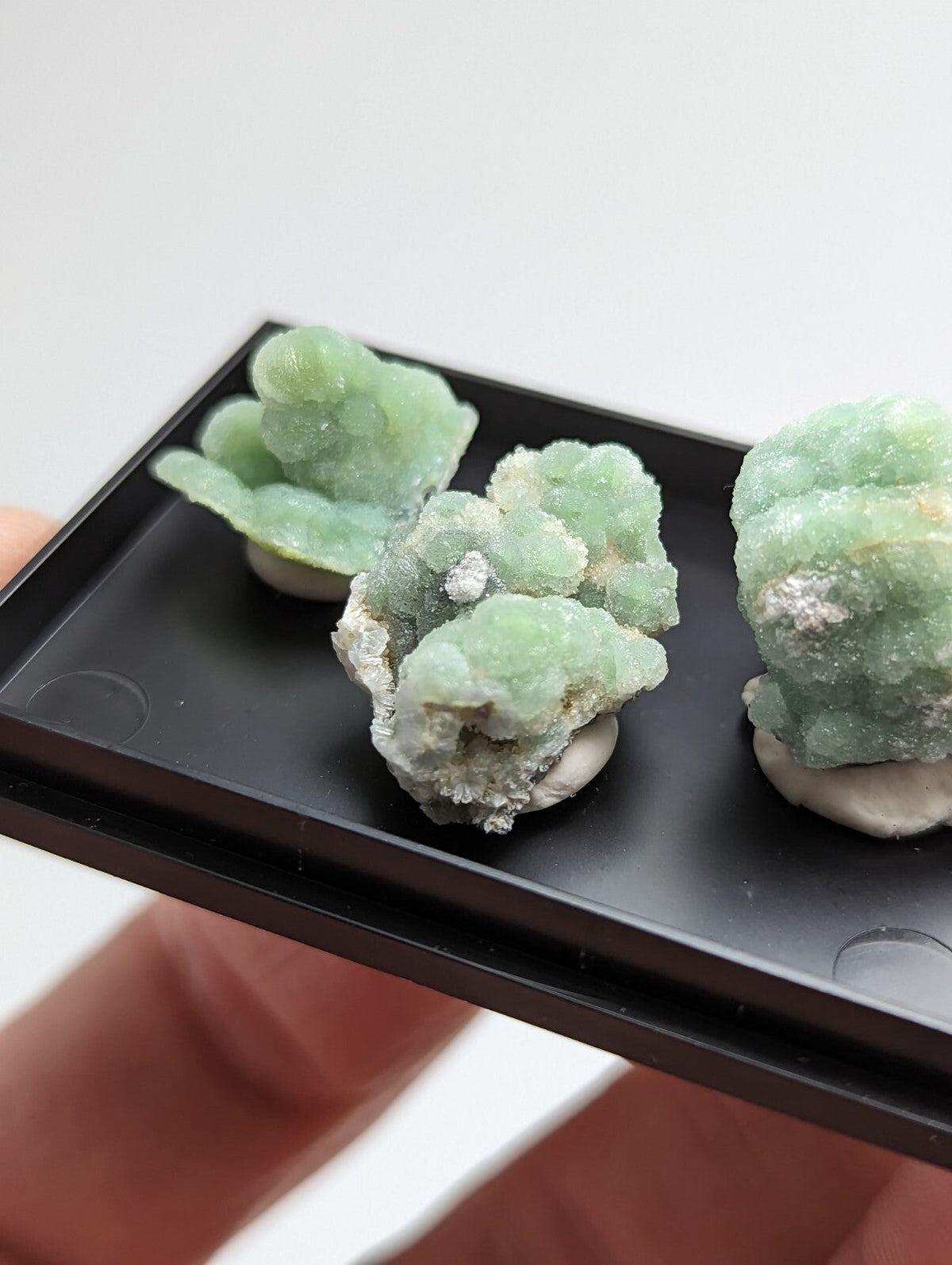Three light green, crystalline mineral specimens with a rough, textured surface and white matrix bases are displayed on a black tray.