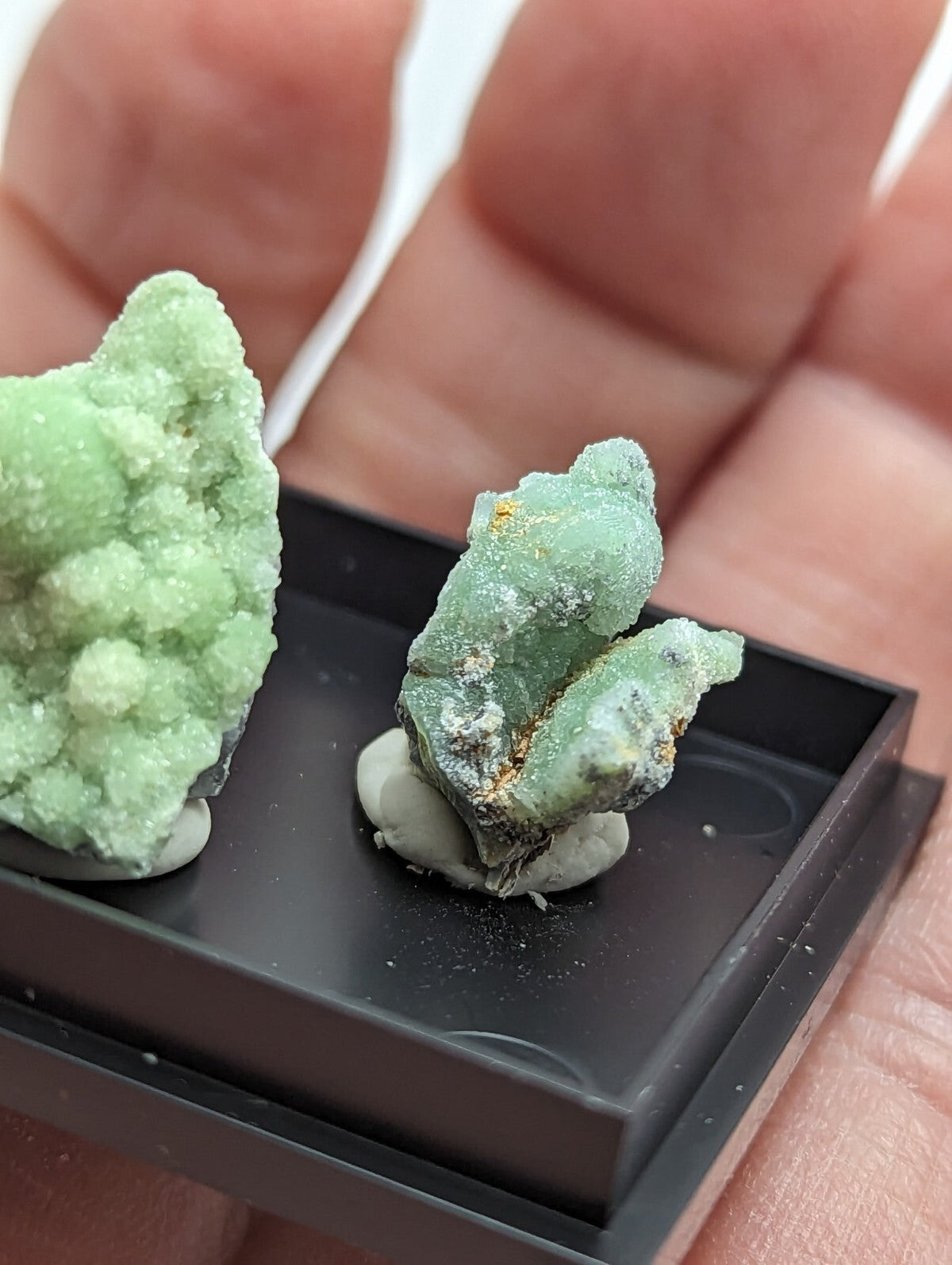 Two pale green, crystalline mineral specimens with rough, textured surfaces and subtle golden flecks are displayed in a black plastic tray.