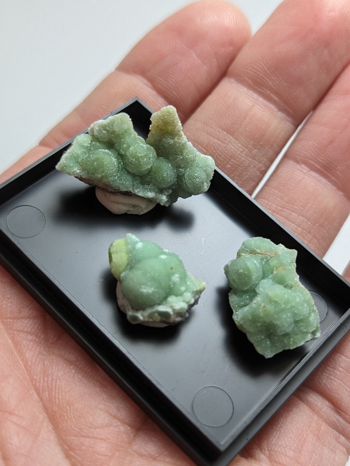 Three light green, bumpy mineral specimens with a crystalline texture rest in a black display tray.