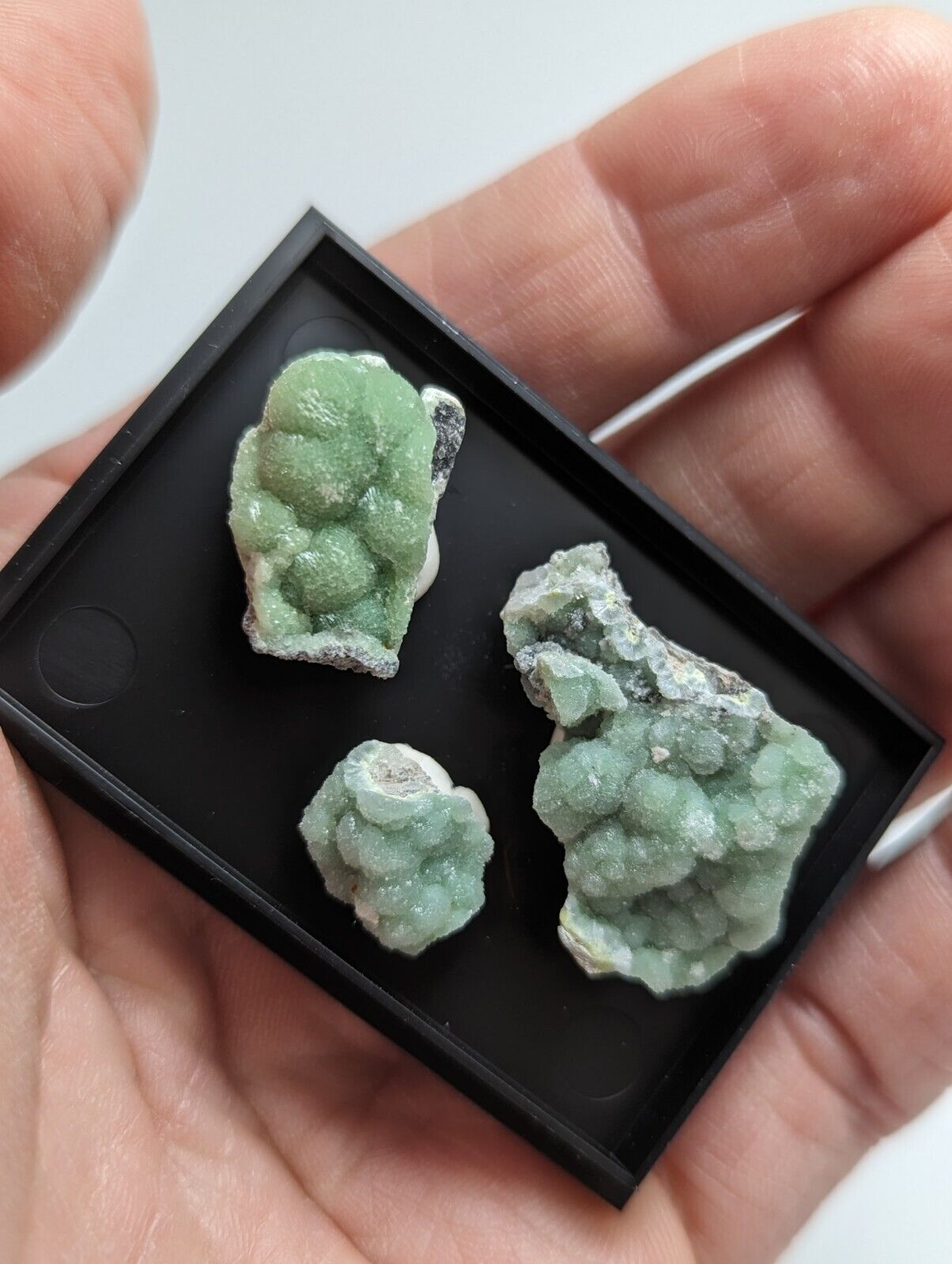 Wavellite - Unique Set of 3 w/ case - Old Stock - Mauldin Mountain Arkansas - Collectibles:Rocks Fossils &
