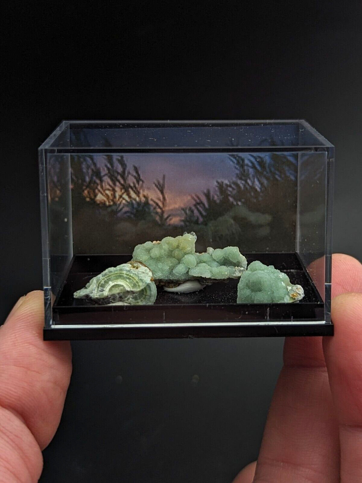 Wavellite - Unique Set of 3 w/ case - Old Stock - Mauldin Mountain Arkansas - Collectibles:Rocks Fossils &