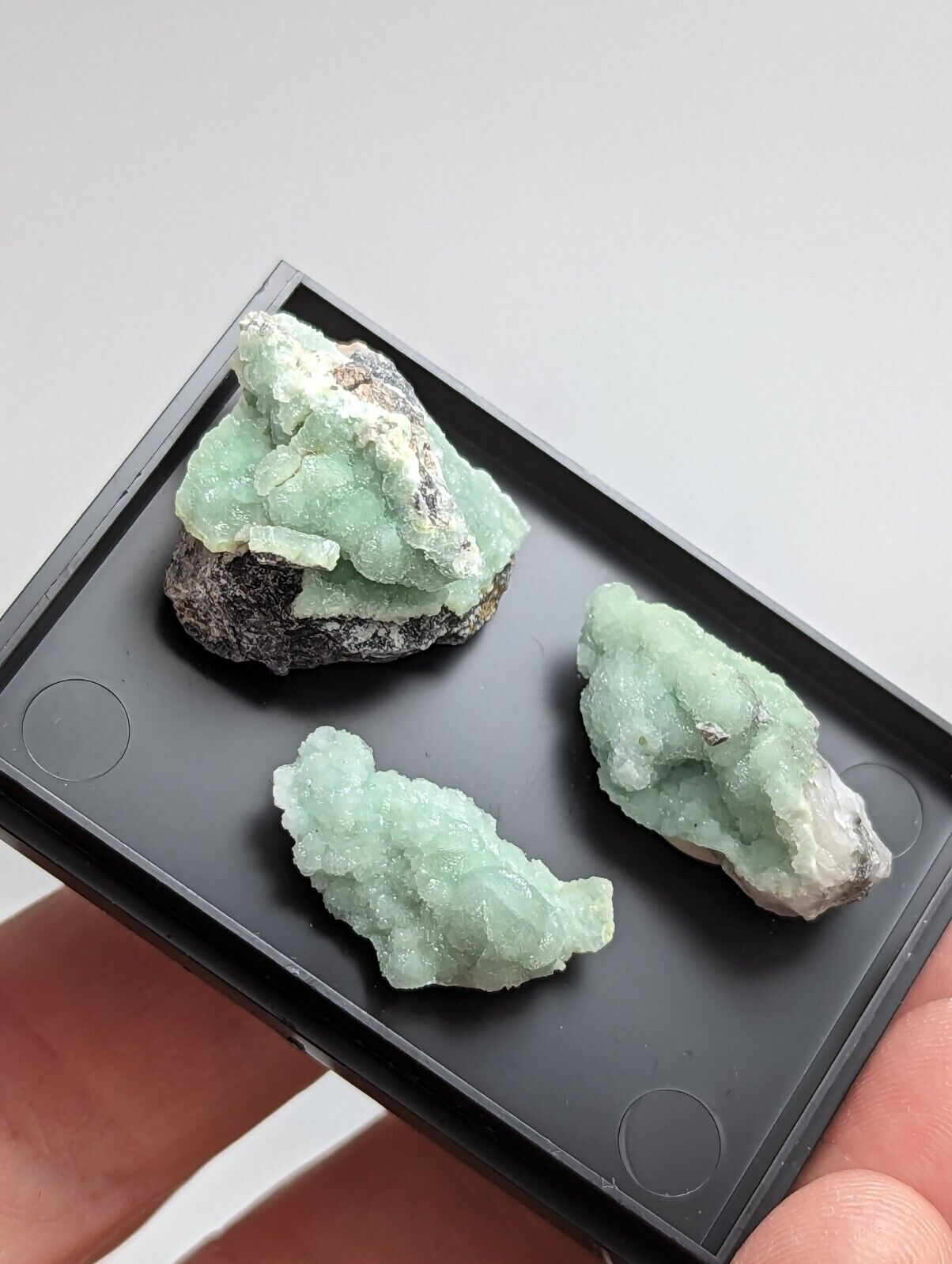 Wavellite - Unique Set of 3 w/ case - Old Stock - Mauldin Mountain Arkansas - Collectibles:Rocks Fossils &