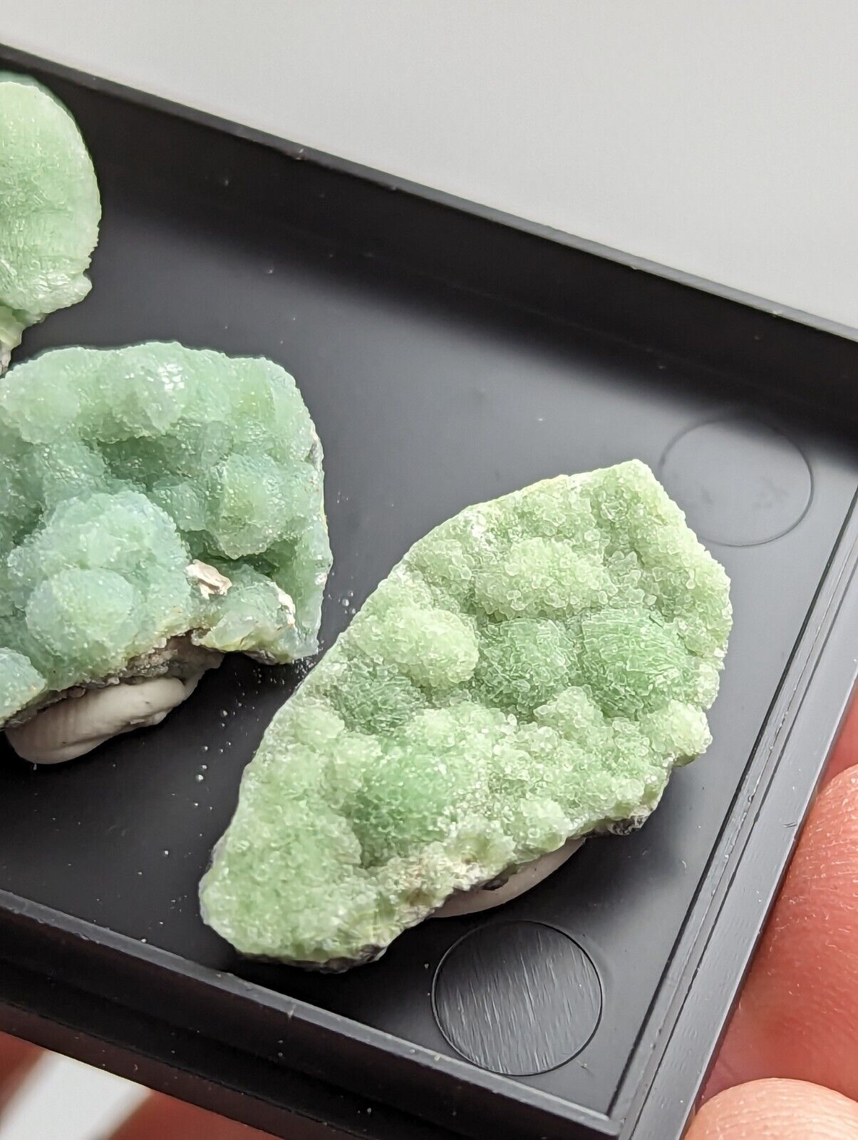 Wavellite - Unique Set of 3 w/ case - Old Stock - Mauldin Mountain Arkansas - Collectibles:Rocks Fossils &
