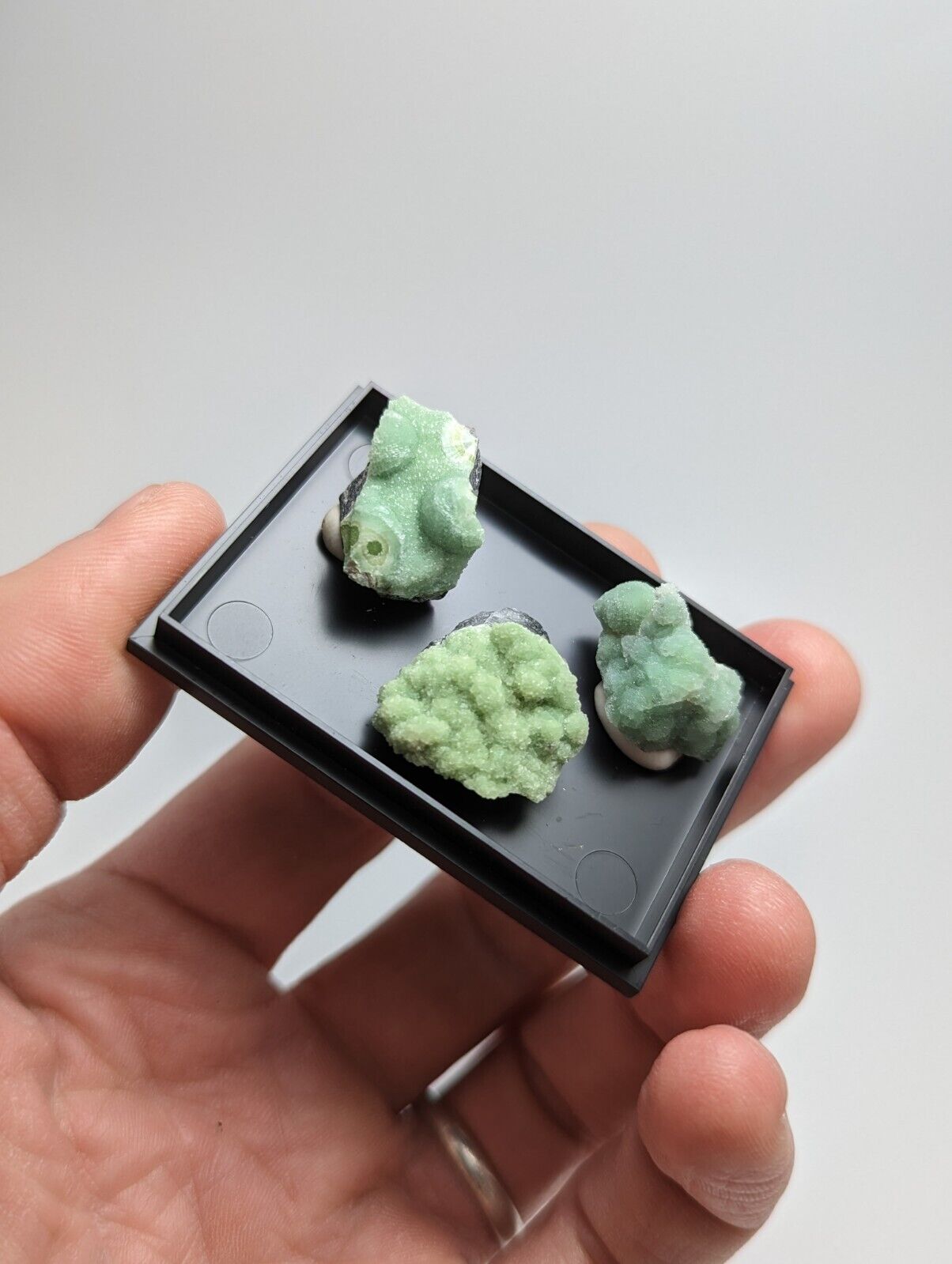 Wavellite - Unique Set of 3 w/ case - Old Stock - Mauldin Mountain Arkansas - Collectibles:Rocks Fossils &