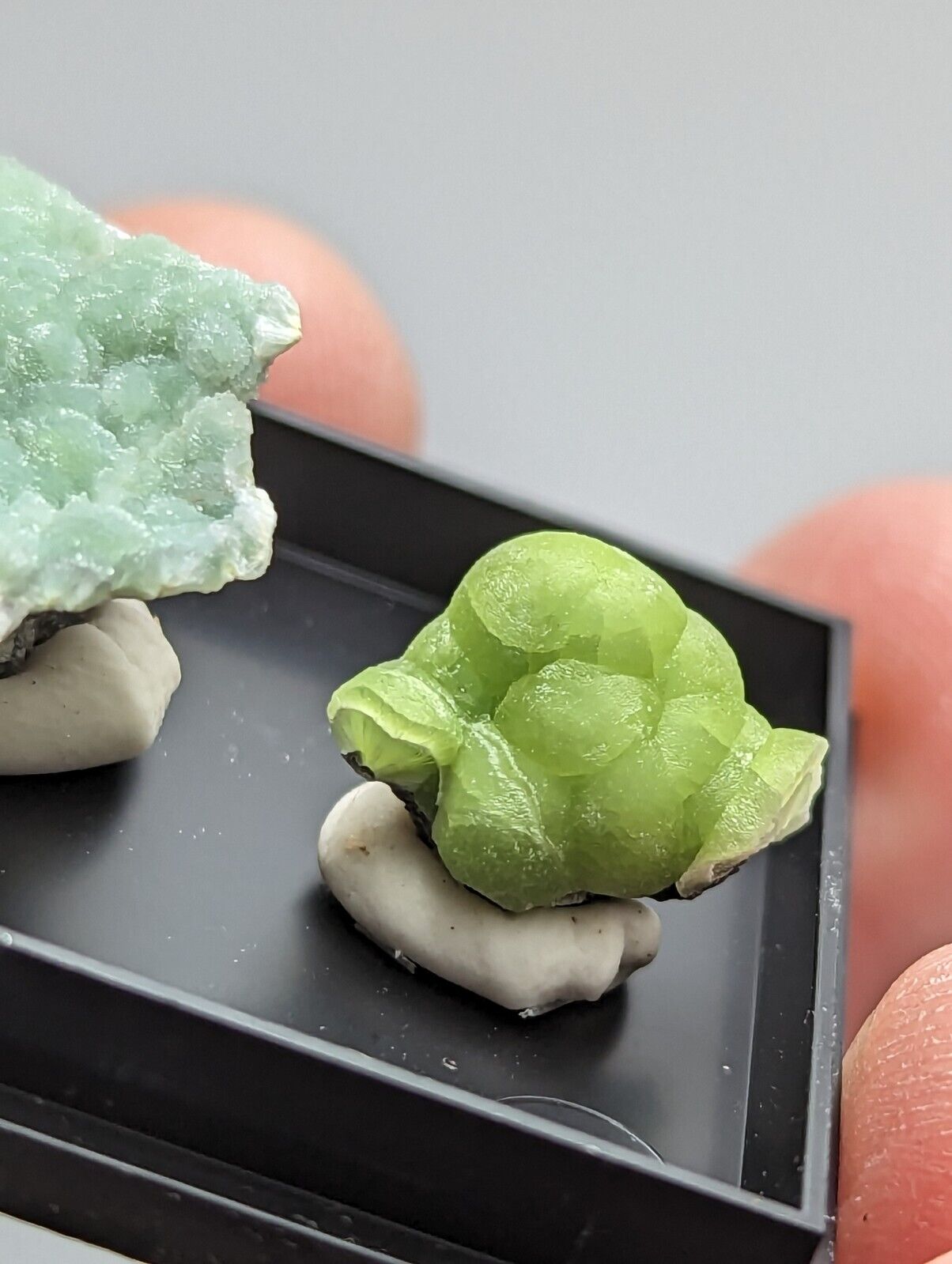 Wavellite - Unique Set of 3 w/ case - Old Stock - Mauldin Mountain Arkansas - Collectibles:Rocks Fossils &