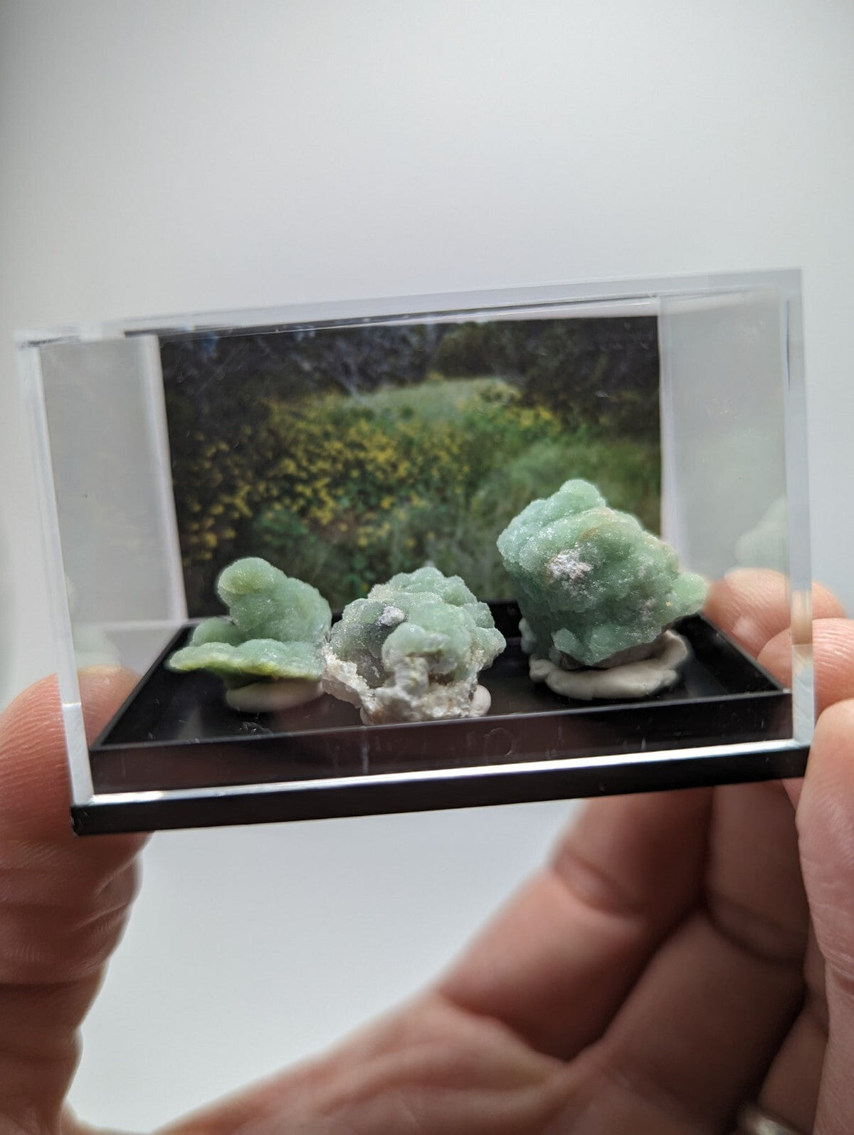 Three light green, textured mineral specimens displayed in a clear acrylic display case with a black base.