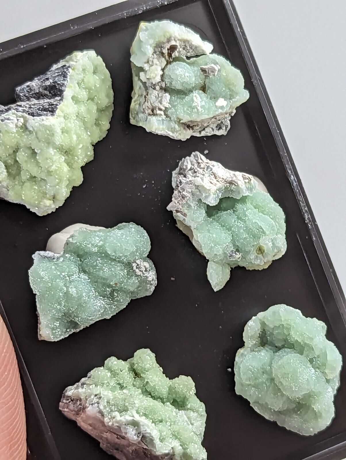 Wavellite - Unique Set of 6 w/ case - Old Stock - Mauldin Mountain Arkansas - Collectibles:Rocks Fossils &