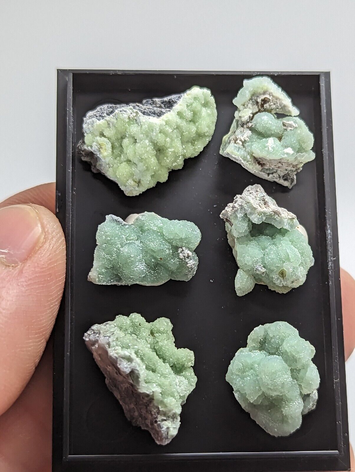 Wavellite - Unique Set of 6 w/ case - Old Stock - Mauldin Mountain Arkansas - Collectibles:Rocks Fossils &