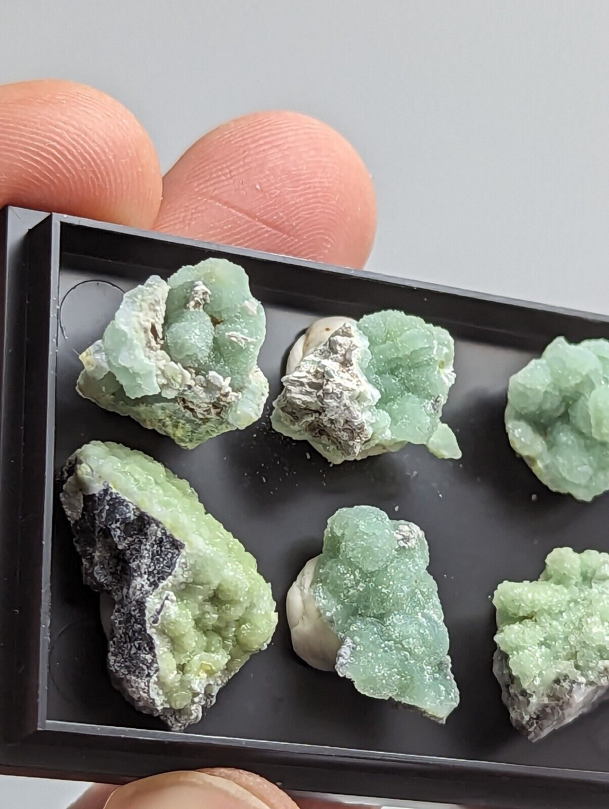 Wavellite - Unique Set of 6 w/ case - Old Stock - Mauldin Mountain Arkansas - Collectibles:Rocks Fossils &