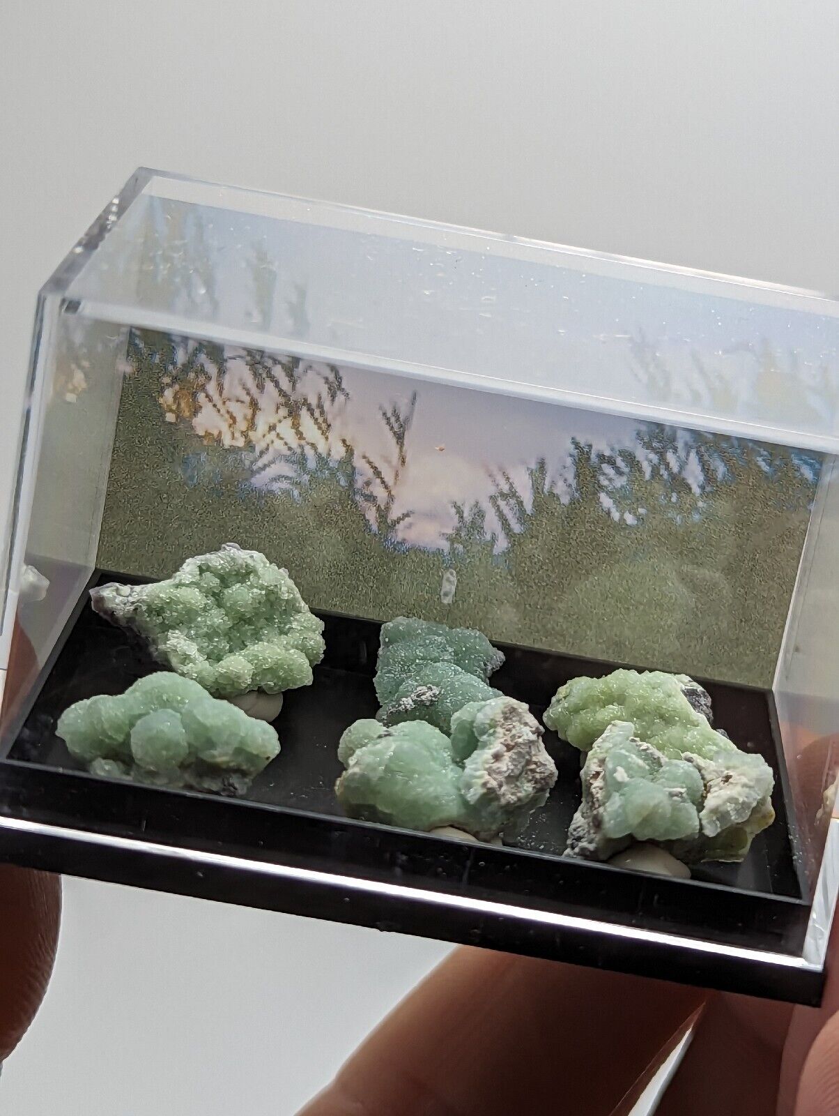 Wavellite - Unique Set of 6 w/ case - Old Stock - Mauldin Mountain Arkansas - Collectibles:Rocks Fossils &