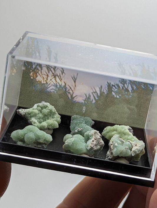 Wavellite - Unique Set of 6 w/ case - Old Stock - Mauldin Mountain Arkansas - Collectibles:Rocks Fossils &