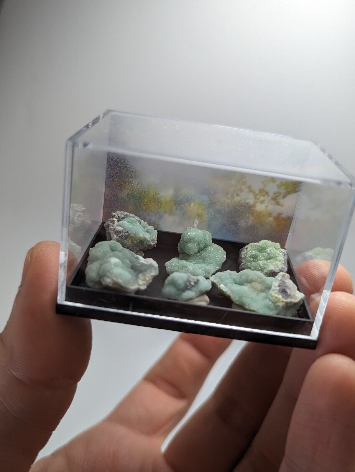 Wavellite - Unique Set of 6 w/ case - Old Stock - Mauldin Mountain Arkansas - Collectibles:Rocks Fossils &