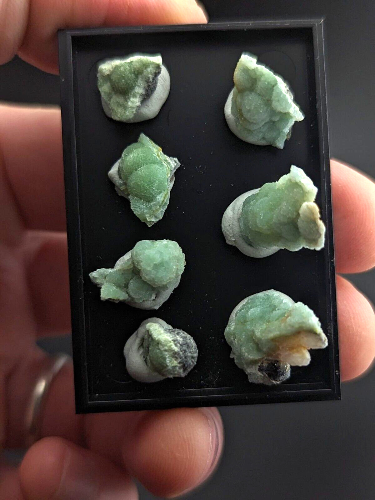 Wavellite - Unique Set of 7 w/ case - Old Stock - Mauldin Mountain Arkansas - Collectibles:Rocks Fossils &