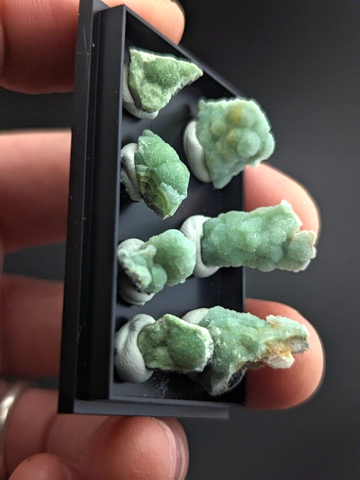 Wavellite - Unique Set of 7 w/ case - Old Stock - Mauldin Mountain Arkansas - Collectibles:Rocks Fossils &