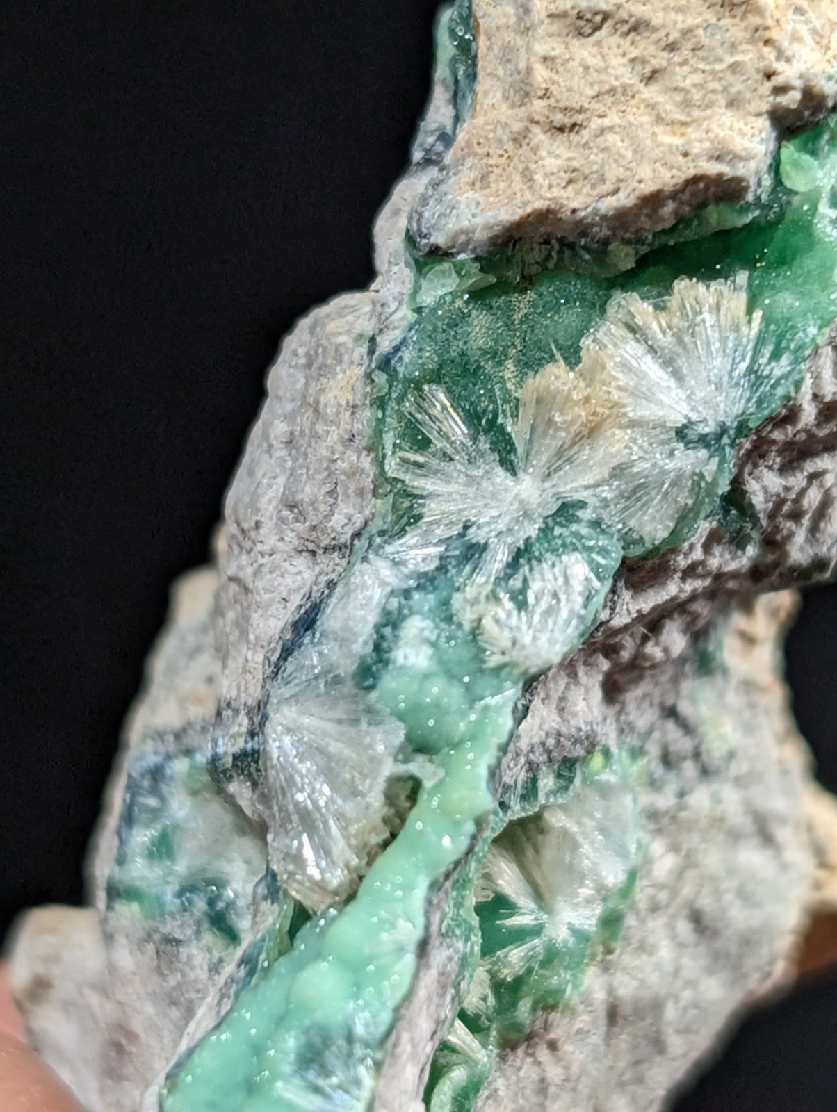A vibrant green and translucent mineral specimen with delicate, crystalline formations embedded in a rough, earthy matrix.
