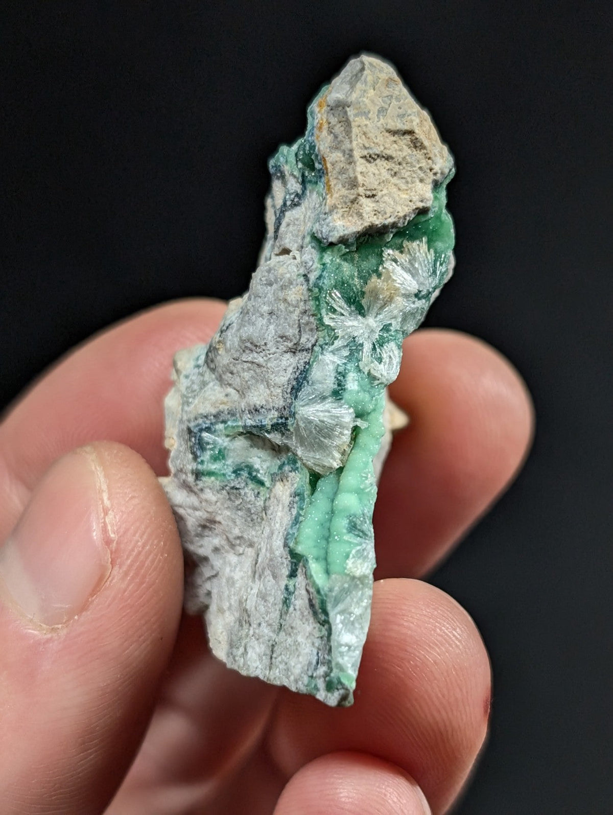 A hand holds a rough, irregularly shaped mineral specimen featuring vibrant green crystals embedded in a lighter gray matrix with some beige patches.