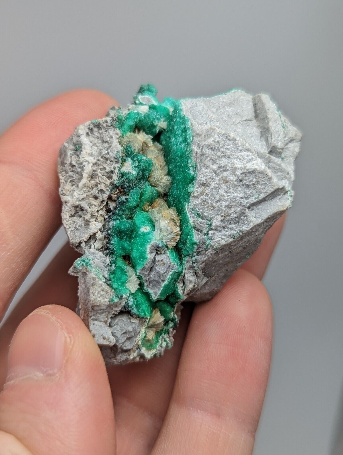 Wavellite on Variscite,Delinde Claim Garland Co Arkansas,1960s Old Stock RARE - Collectibles:Rocks Fossils &