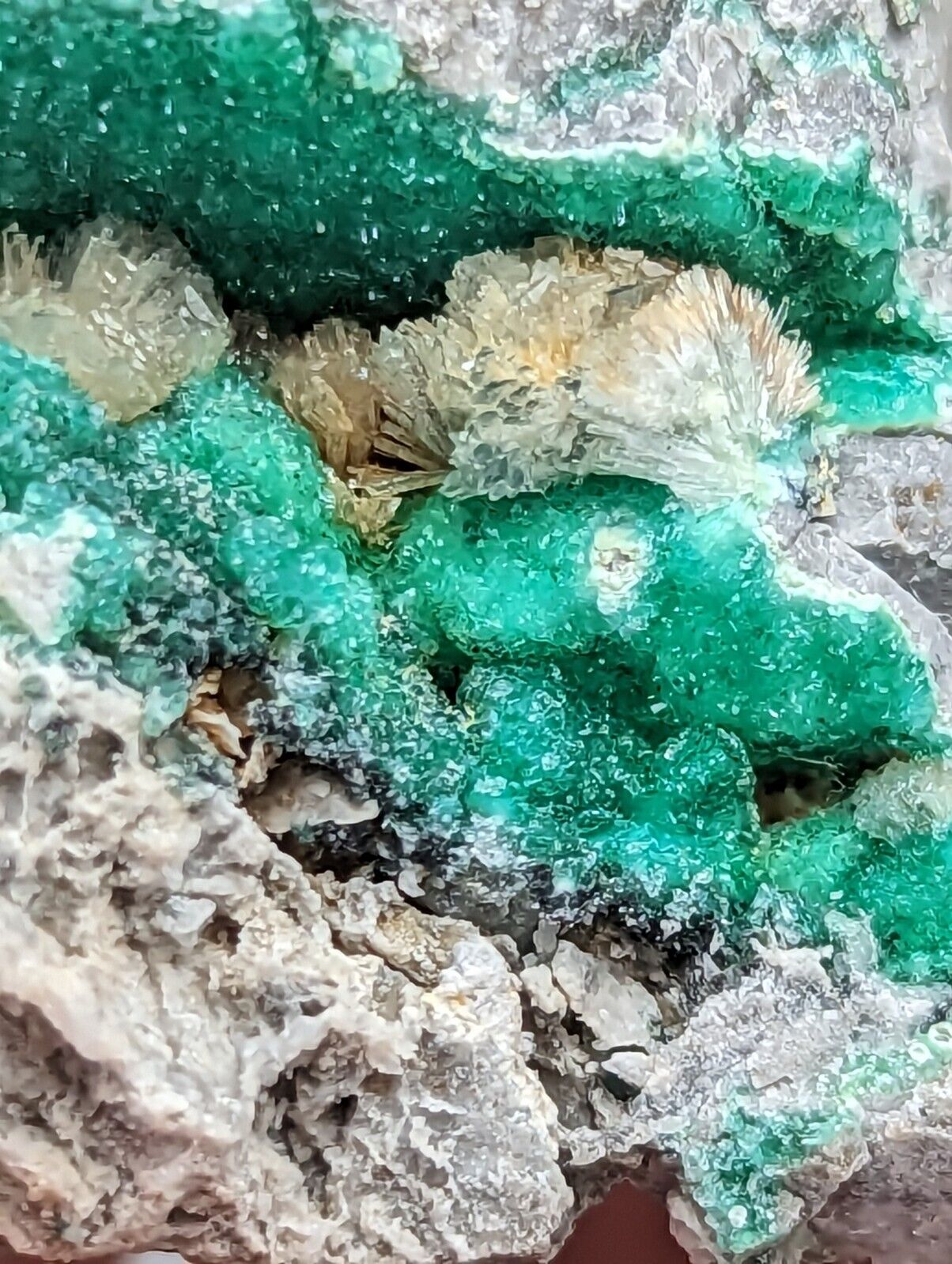 Wavellite on Variscite,Delinde Claim Garland Co Arkansas,1960s Old Stock RARE - Collectibles:Rocks Fossils &