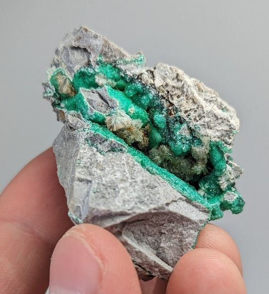 Wavellite on Variscite,Delinde Claim Garland Co Arkansas,1960s Old Stock RARE - Collectibles:Rocks Fossils &