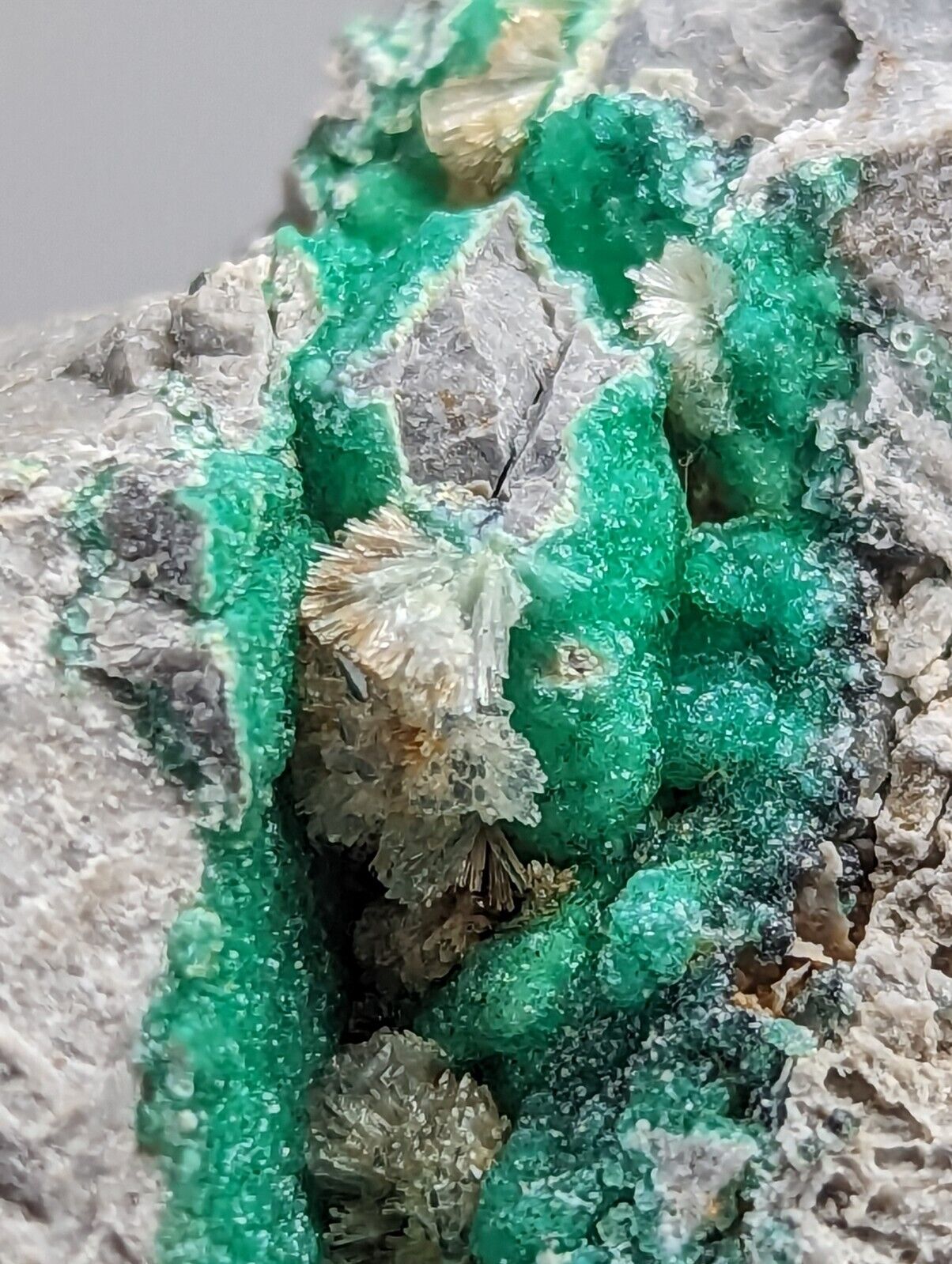 Wavellite on Variscite,Delinde Claim Garland Co Arkansas,1960s Old Stock RARE - Collectibles:Rocks Fossils &